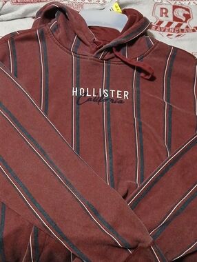 Hollister Burgundy Striped Hooded Sweatshirt